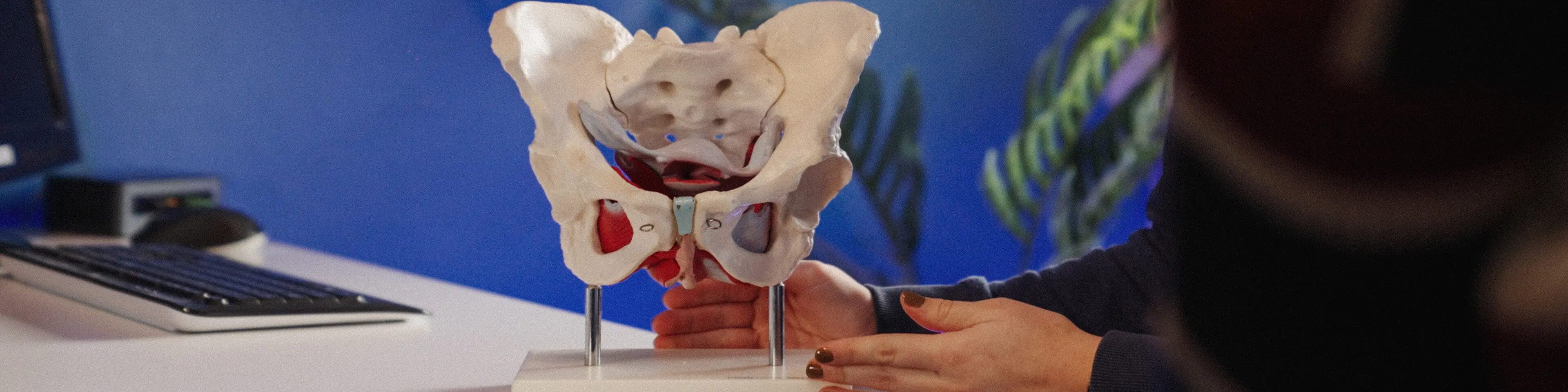 Bekkenfysiotherapie